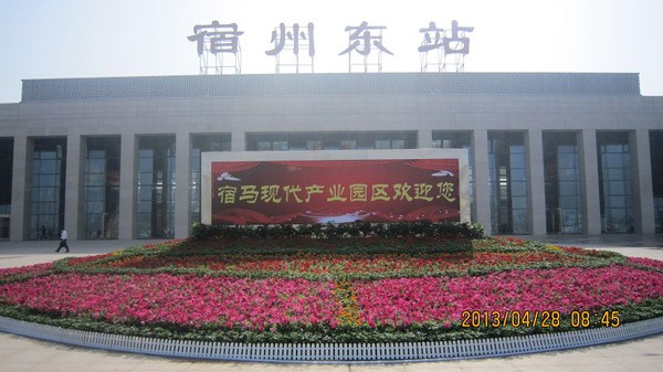 广场花卉